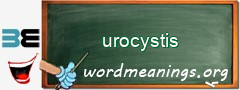 WordMeaning blackboard for urocystis